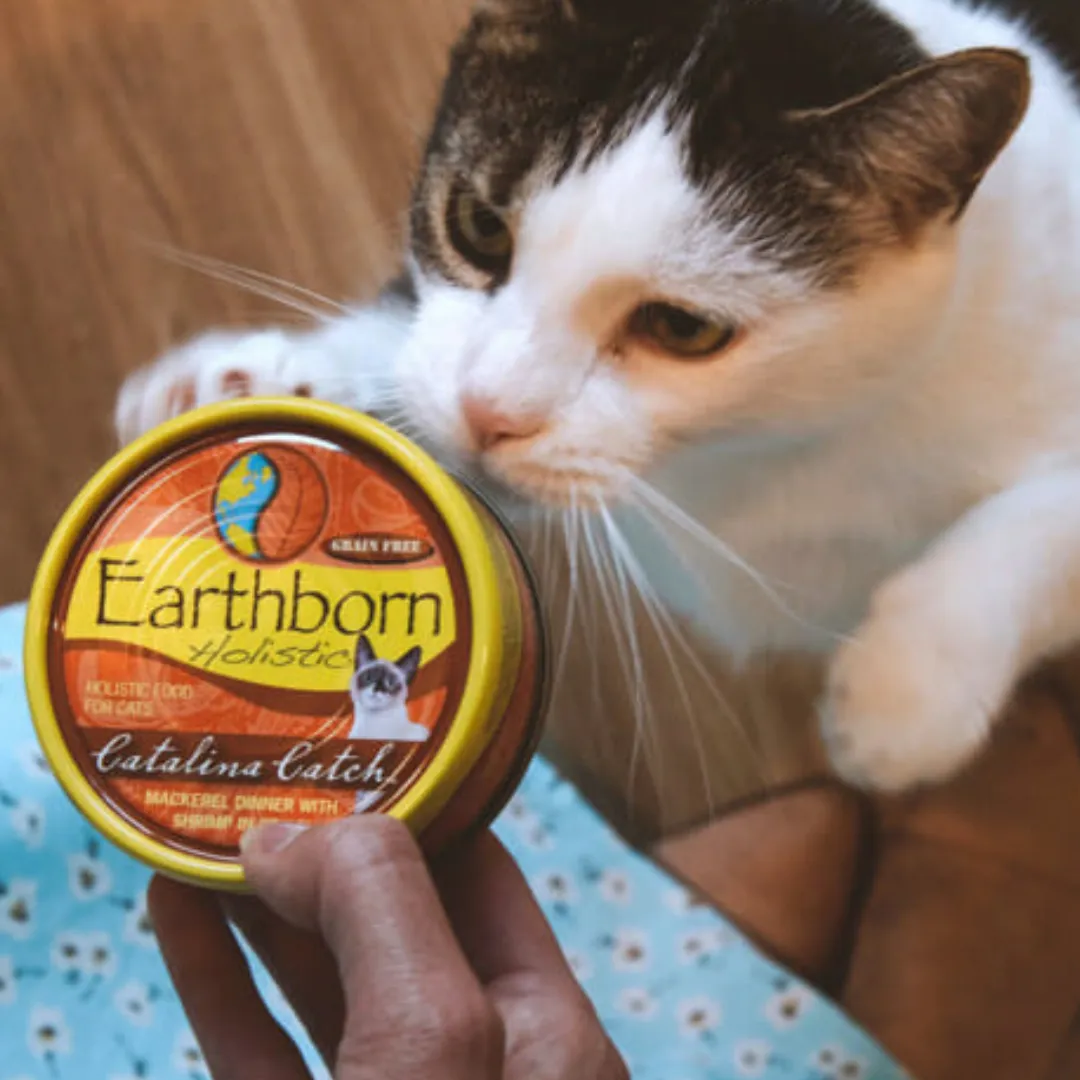 Earthborn Holistic Grain Free Canned Cat & Kitten Food