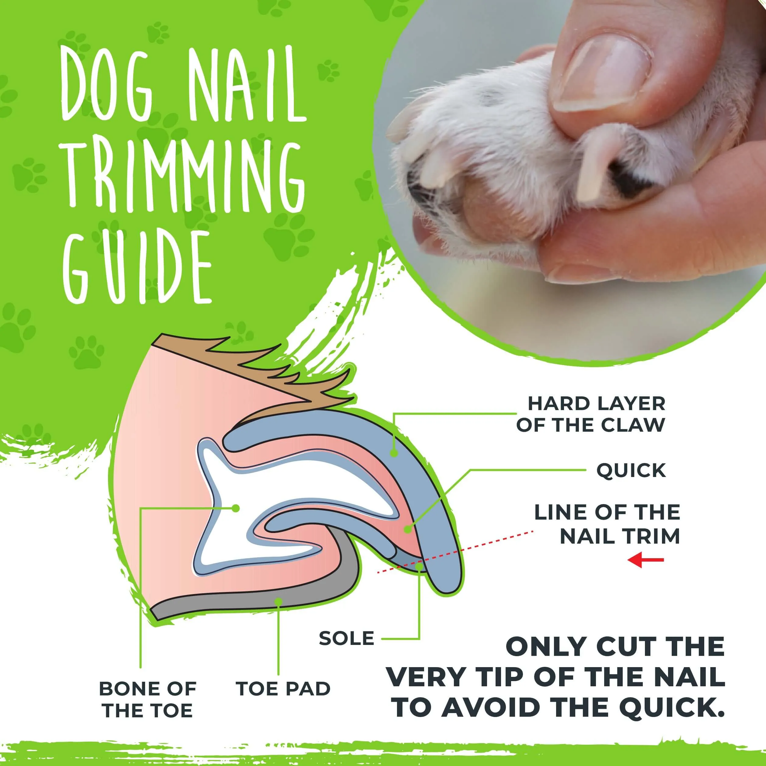 Professional Mighty Paw Dog Nail Clippers with Safety Guard & Locking Switch