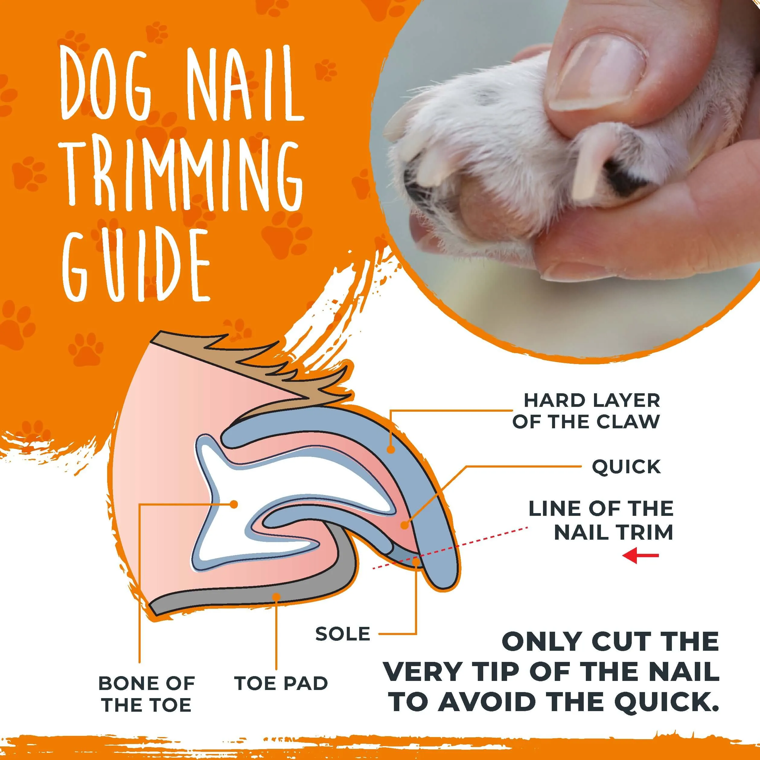 Professional Mighty Paw Dog Nail Clippers with Safety Guard & Locking Switch